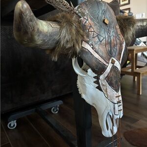 Bone bull cow skull